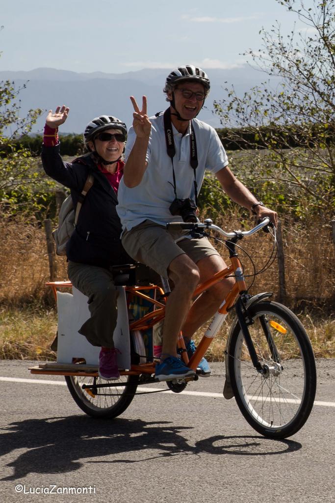 Catching a ride through Martinborough. No lycra cycling