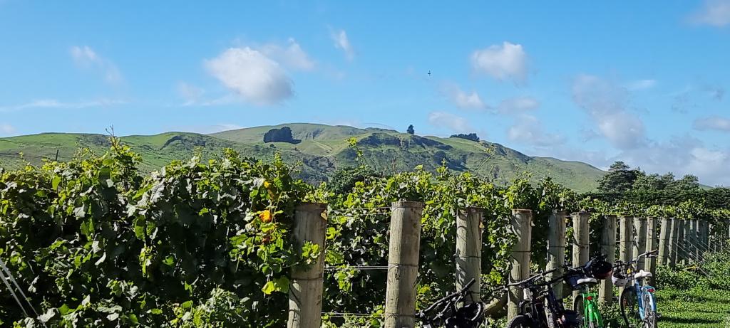 Luna Estate Martinborough