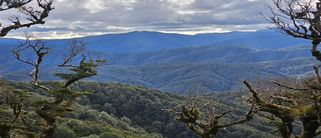 Remutaka Summit to Bucks Road