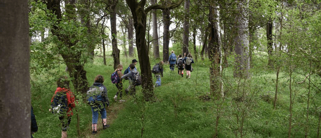 Ongaha Bush Story Walk