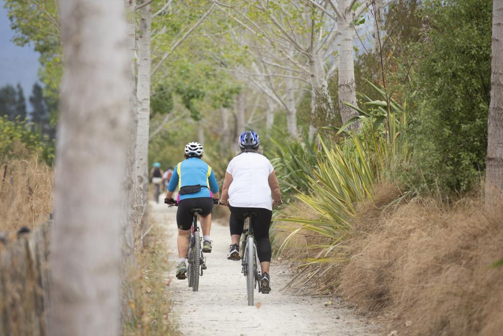 Ride into Greytown on the Woodside Trail