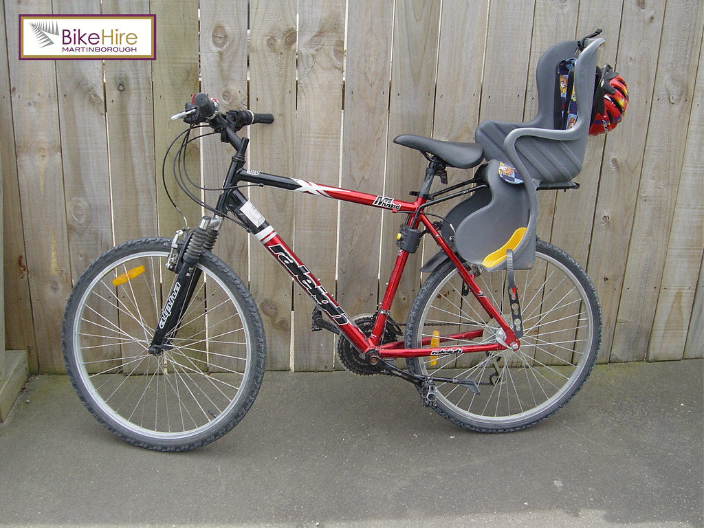 Large Bike with Child Seat