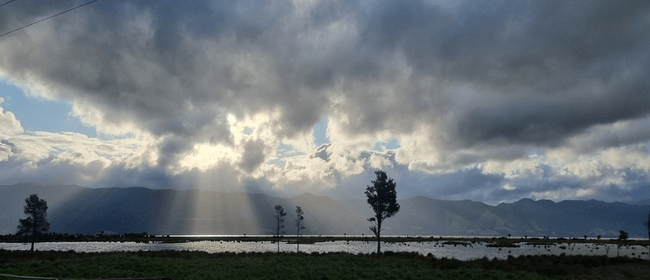 Wairio Wetlands