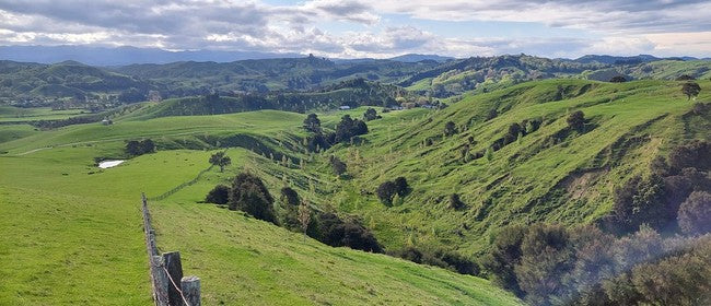 Hāpua Farm Walk