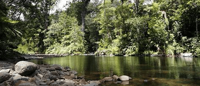 Pasifika Family Walk