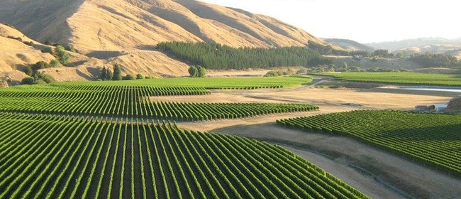 Craggy Range vs Burgundy Long Lunch