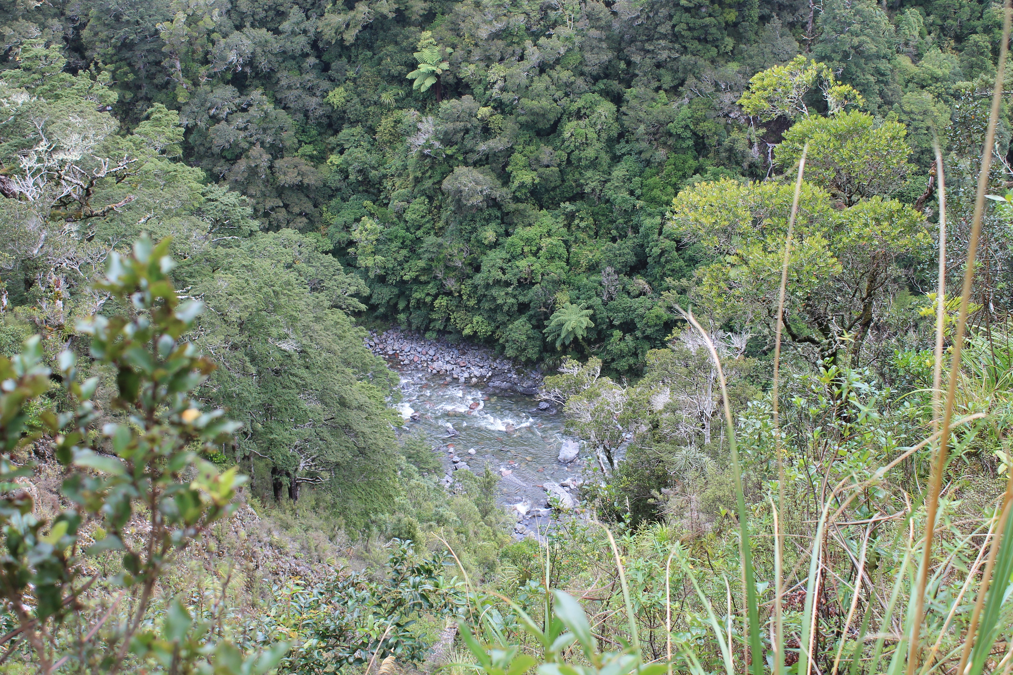 Looking down gorge to river 