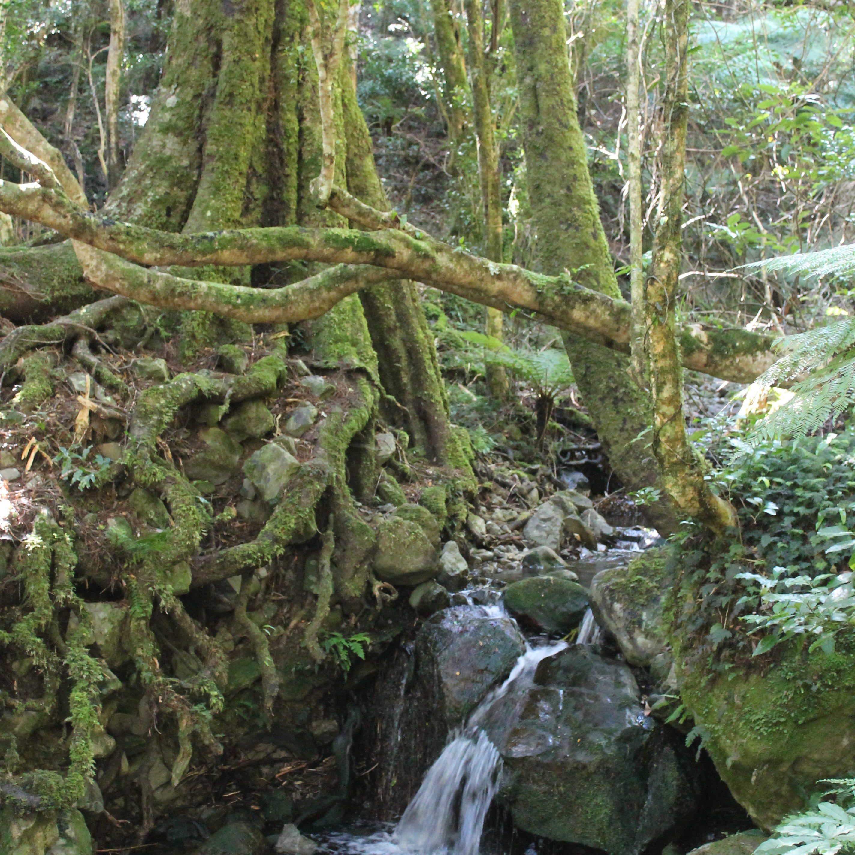 A tiny waterfall 