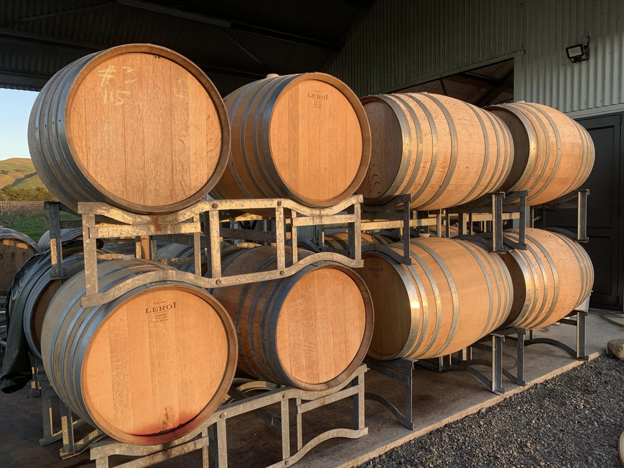 Barrells of wine in winery 