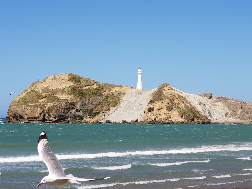 Castlepoint Lighthouse