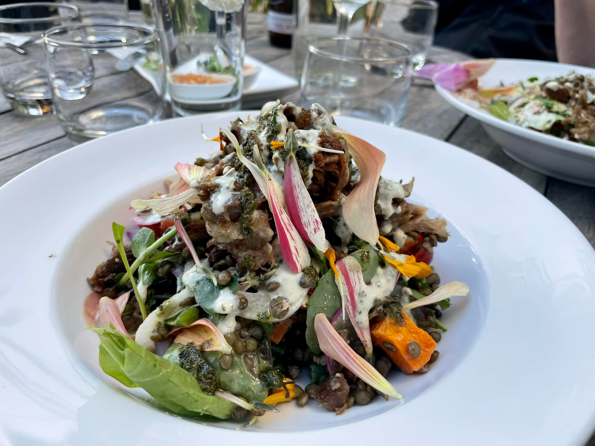 Plate of food on outdoor table