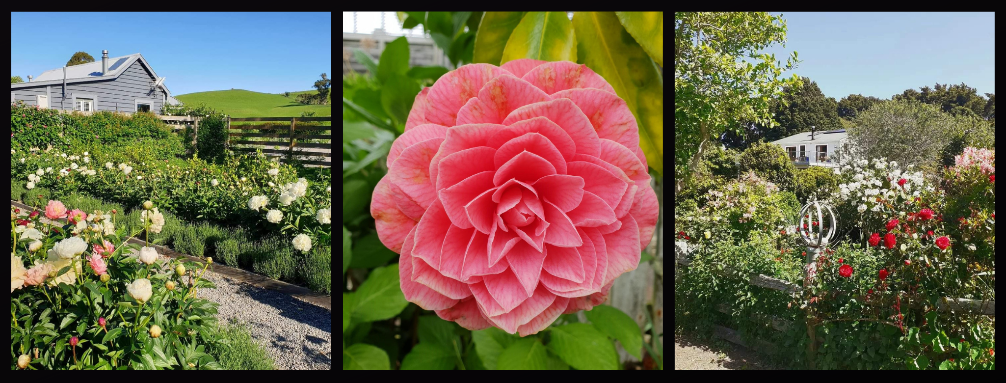 Wairarapa Garden Collage