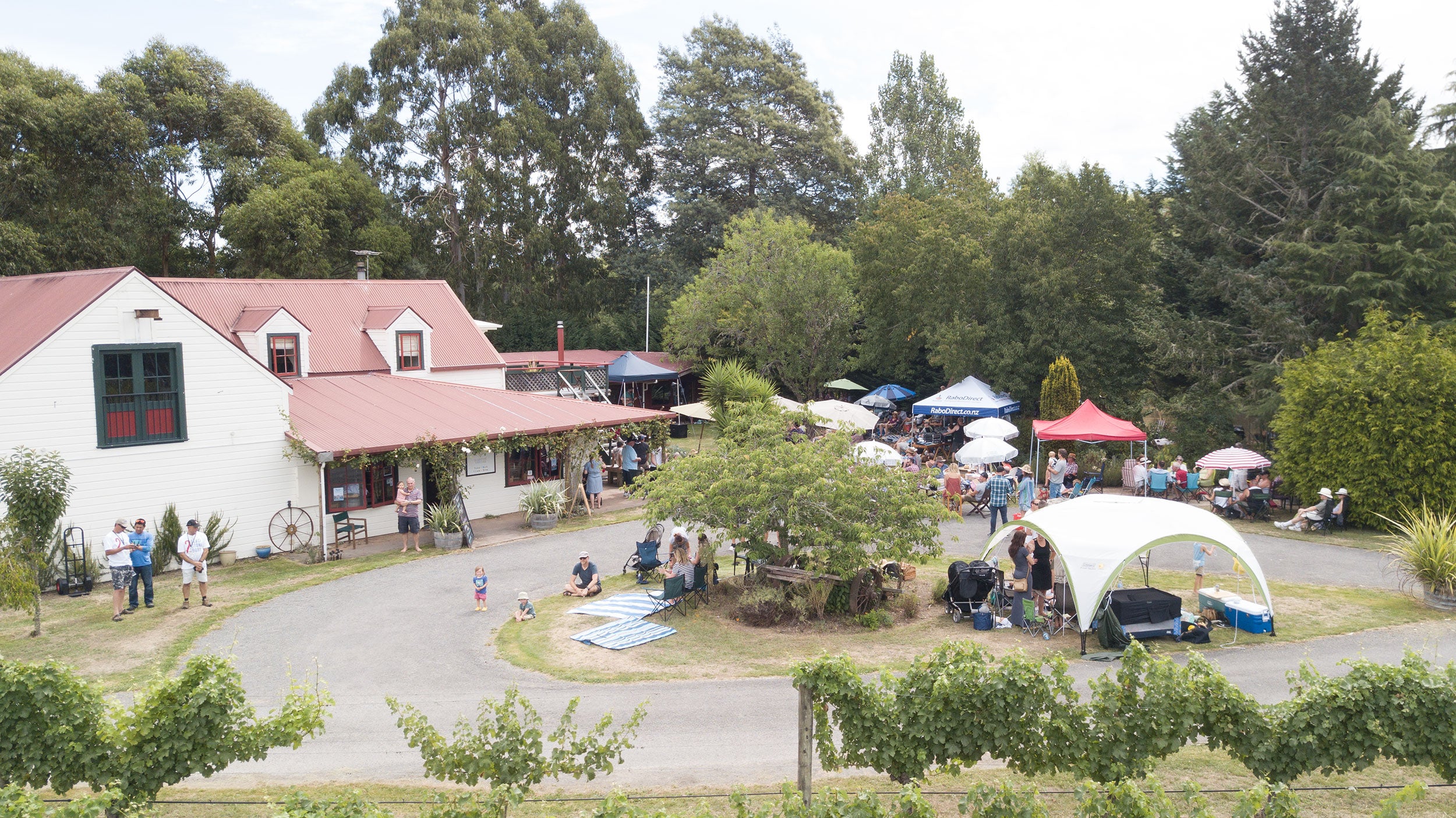 People picnicking on the lawn 