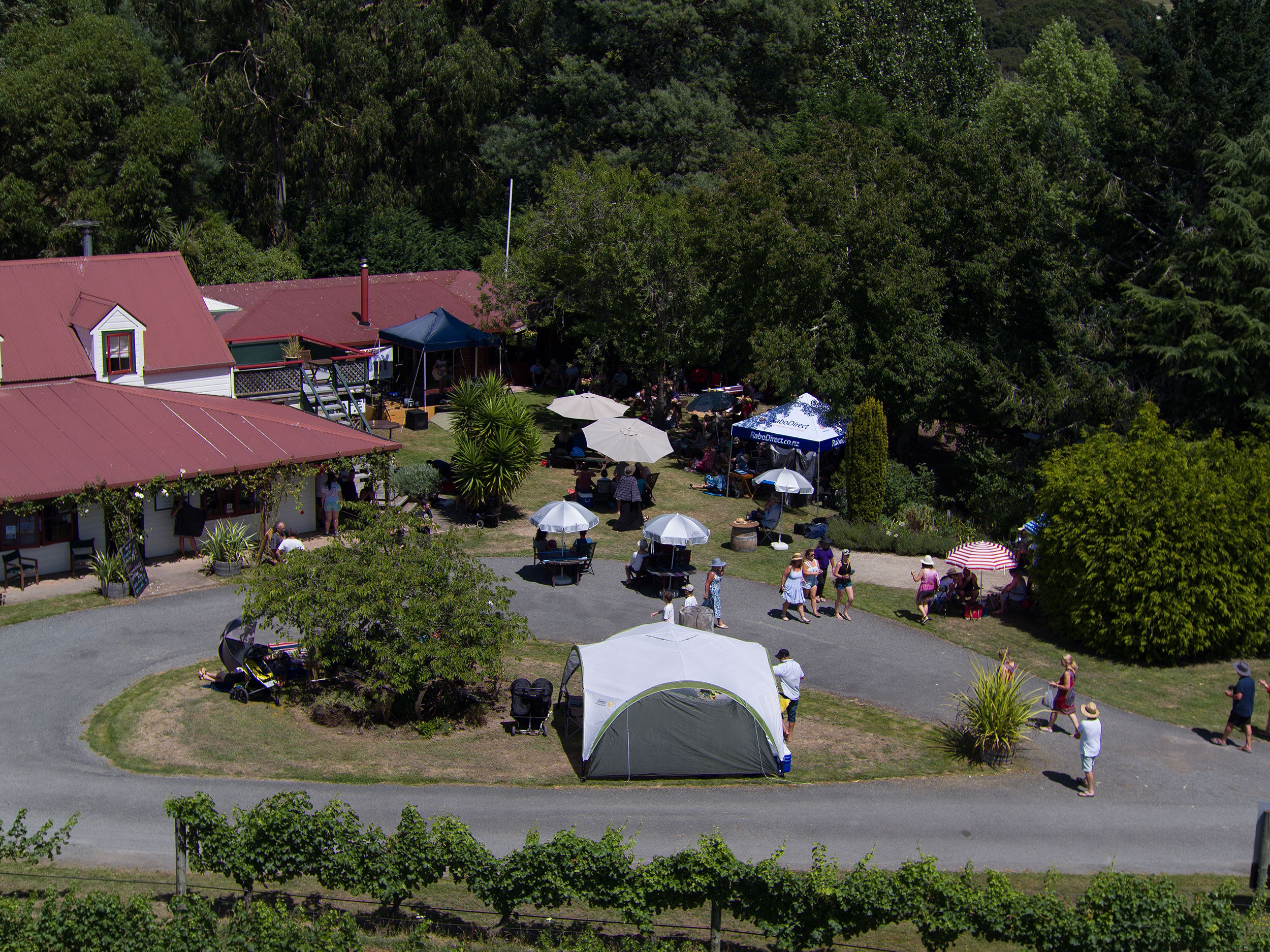 Aerial view of people picnicking by winery 