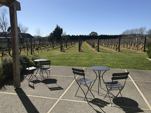 Looking over winter vines from courtyard 