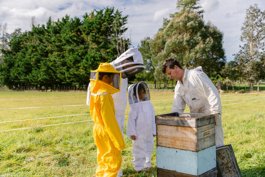 Take a look inside the beehives, find the queen bee and learn all about what happens inside the hive. 