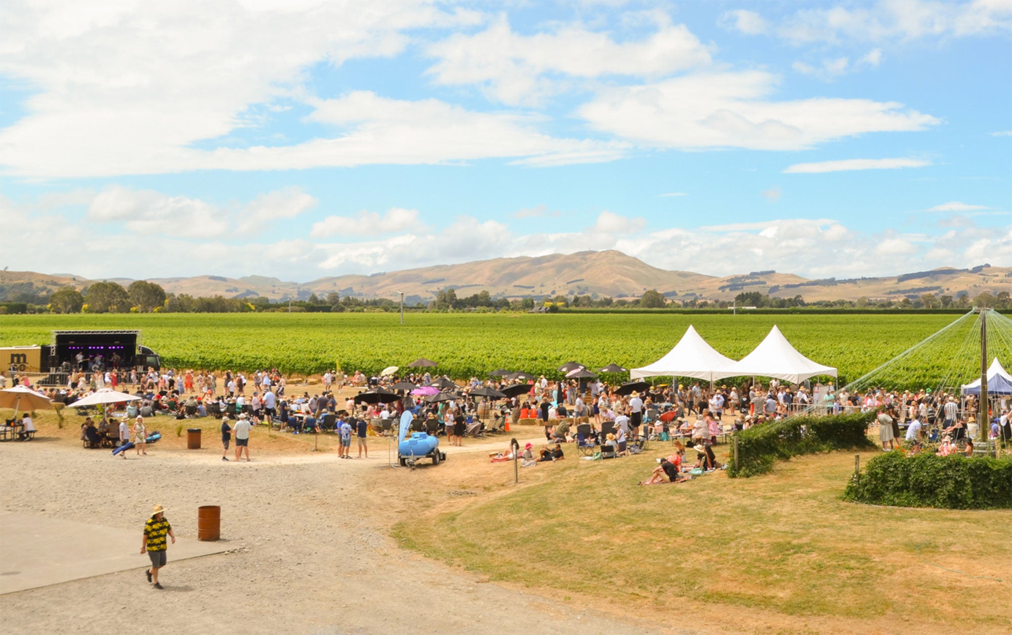 View of the crowd and vines