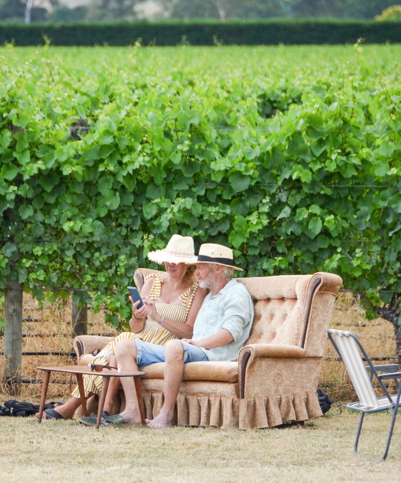 Couple on a couch in the vines