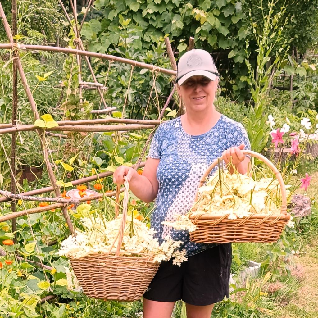 Deb harvesting elderflowers