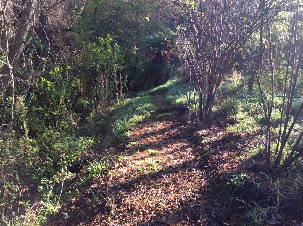 Part of the main Food Forest walk