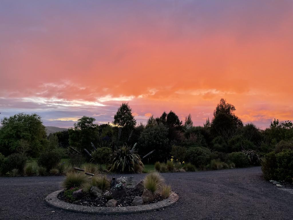 Dawn over the front garden