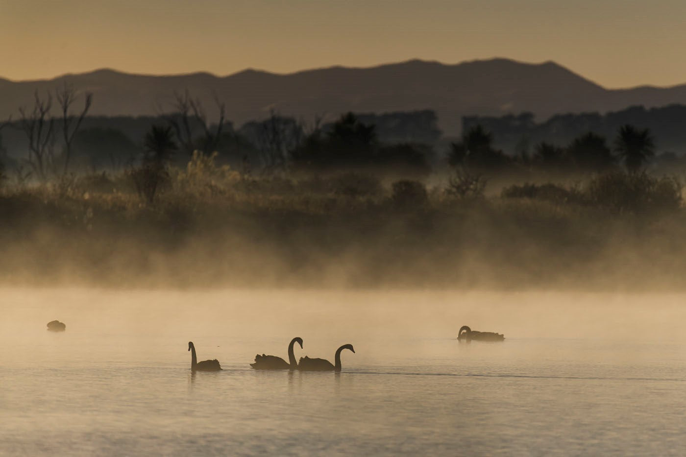 Lake Wairarapa & Wairarapa Moana