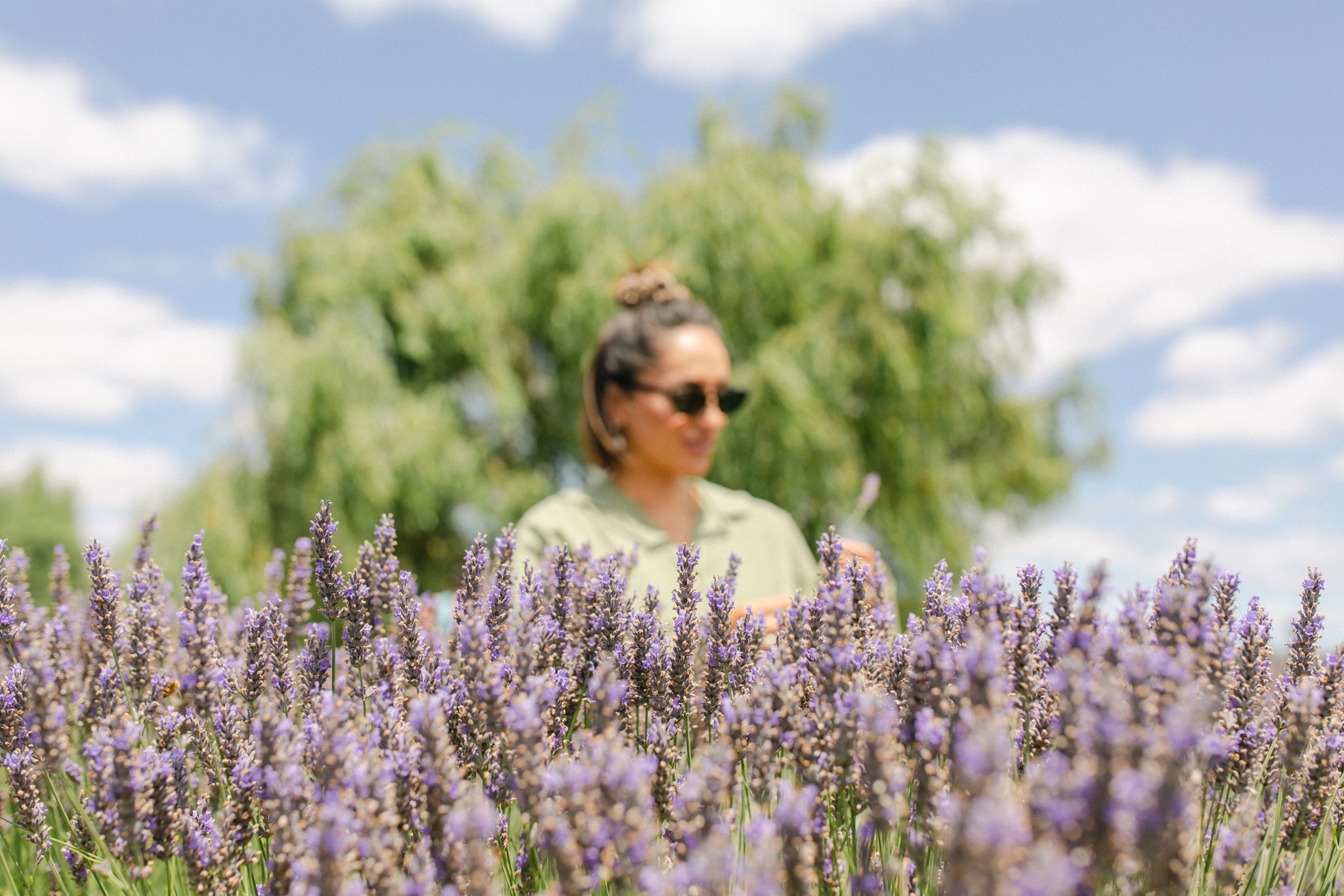 Lady among flowering lavender plants 