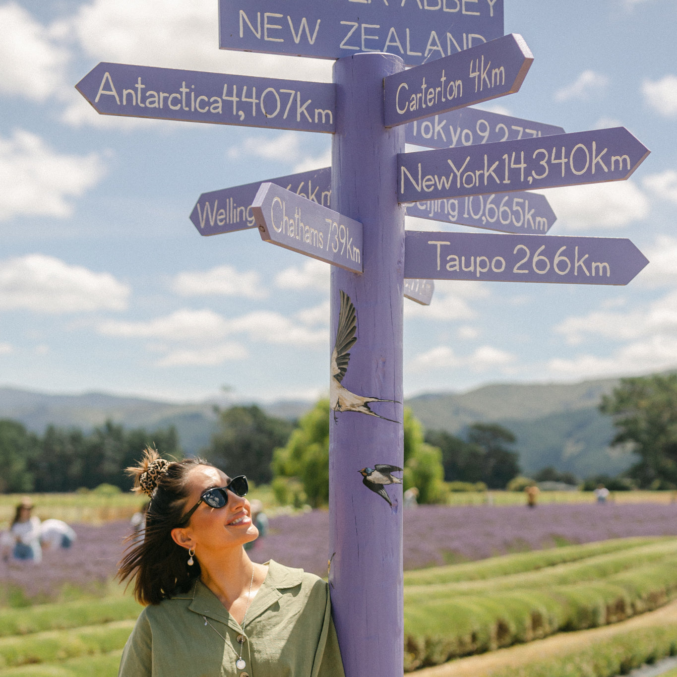 Purple sign among lavender plants 