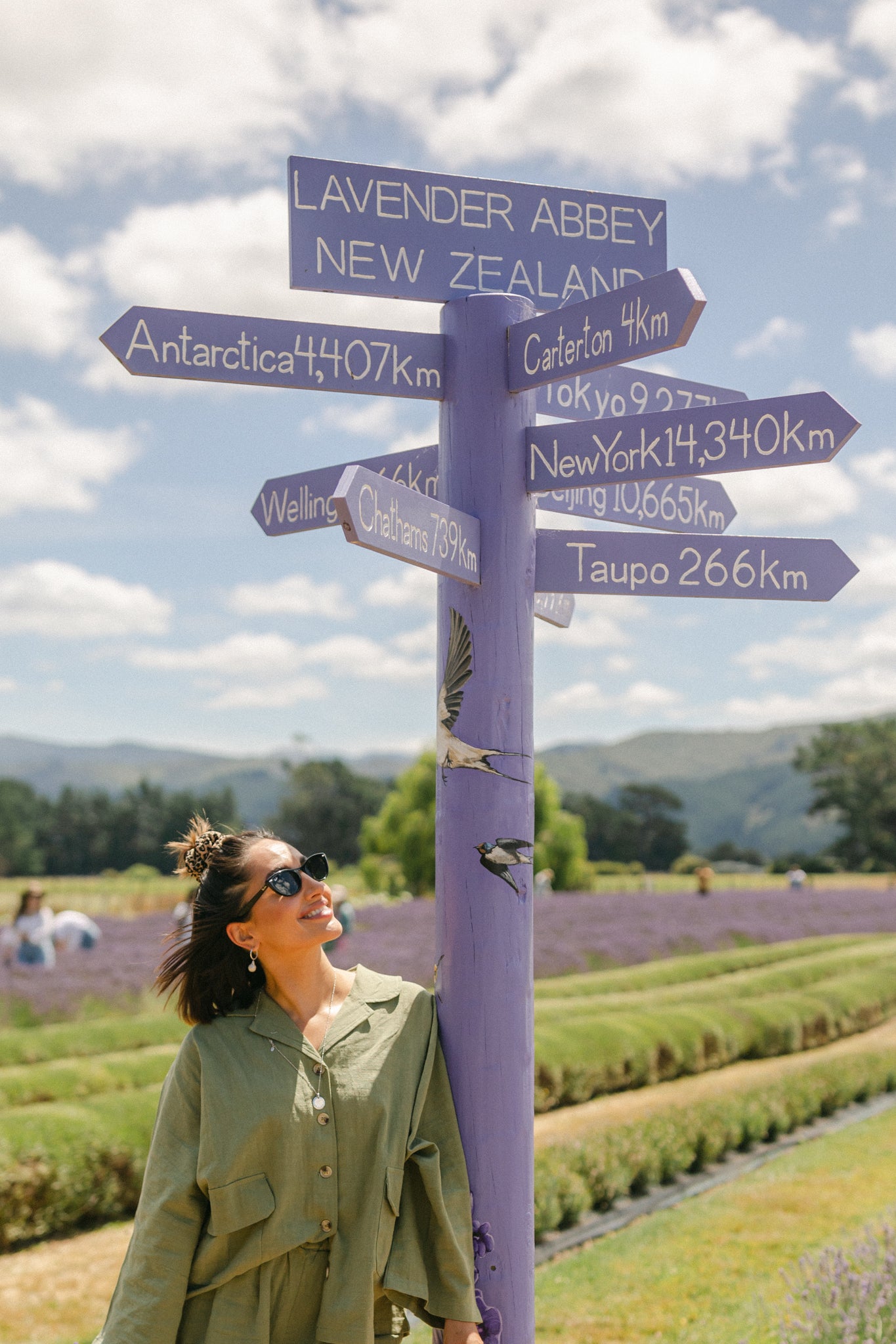 Purple sign among lavender plants 