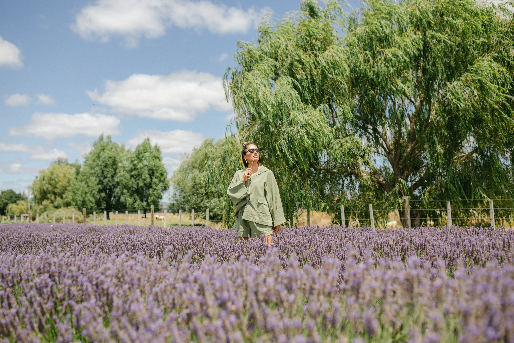 Lady smelling lavender among flowering lavender plants 