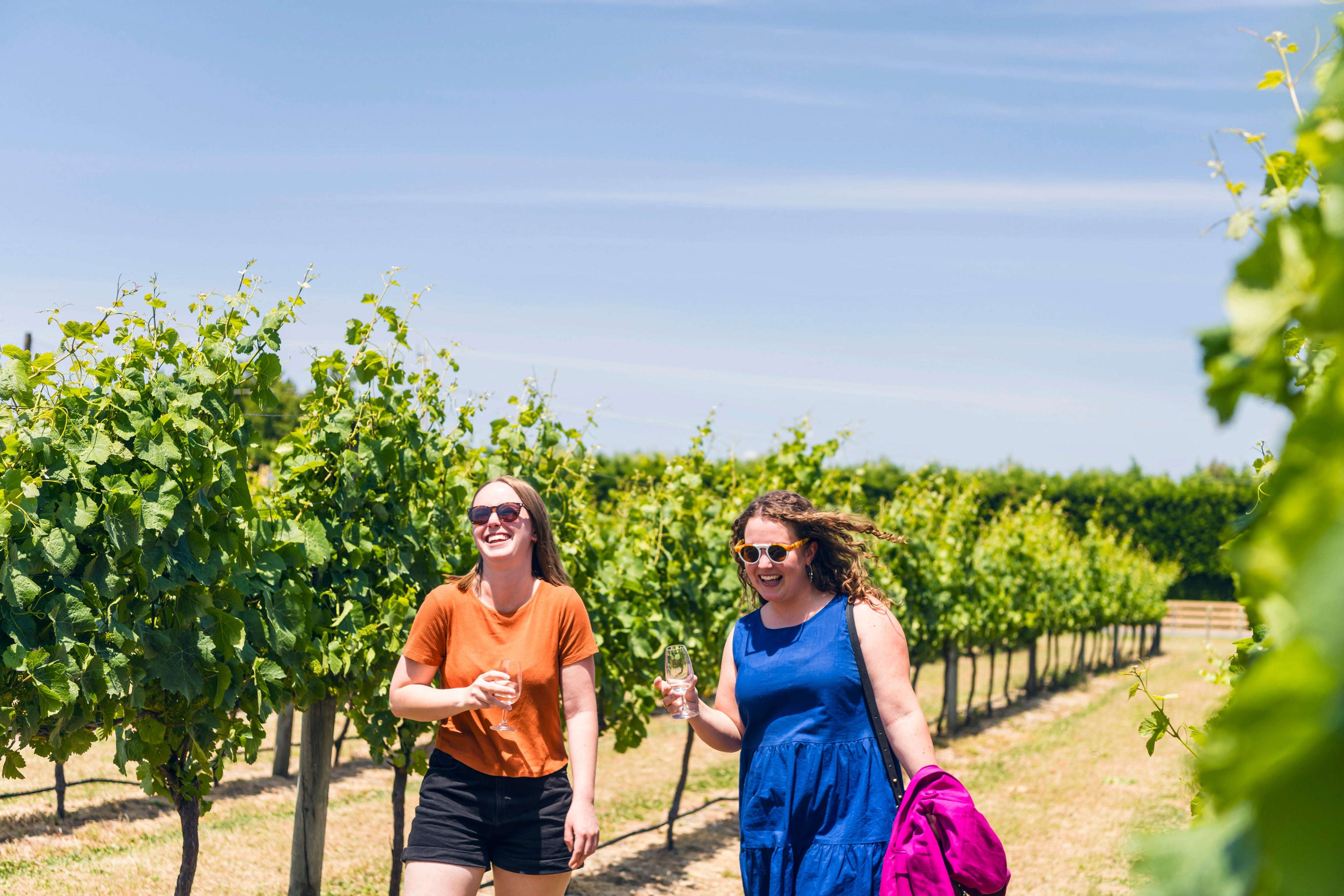 Girls walking through the grape vines 