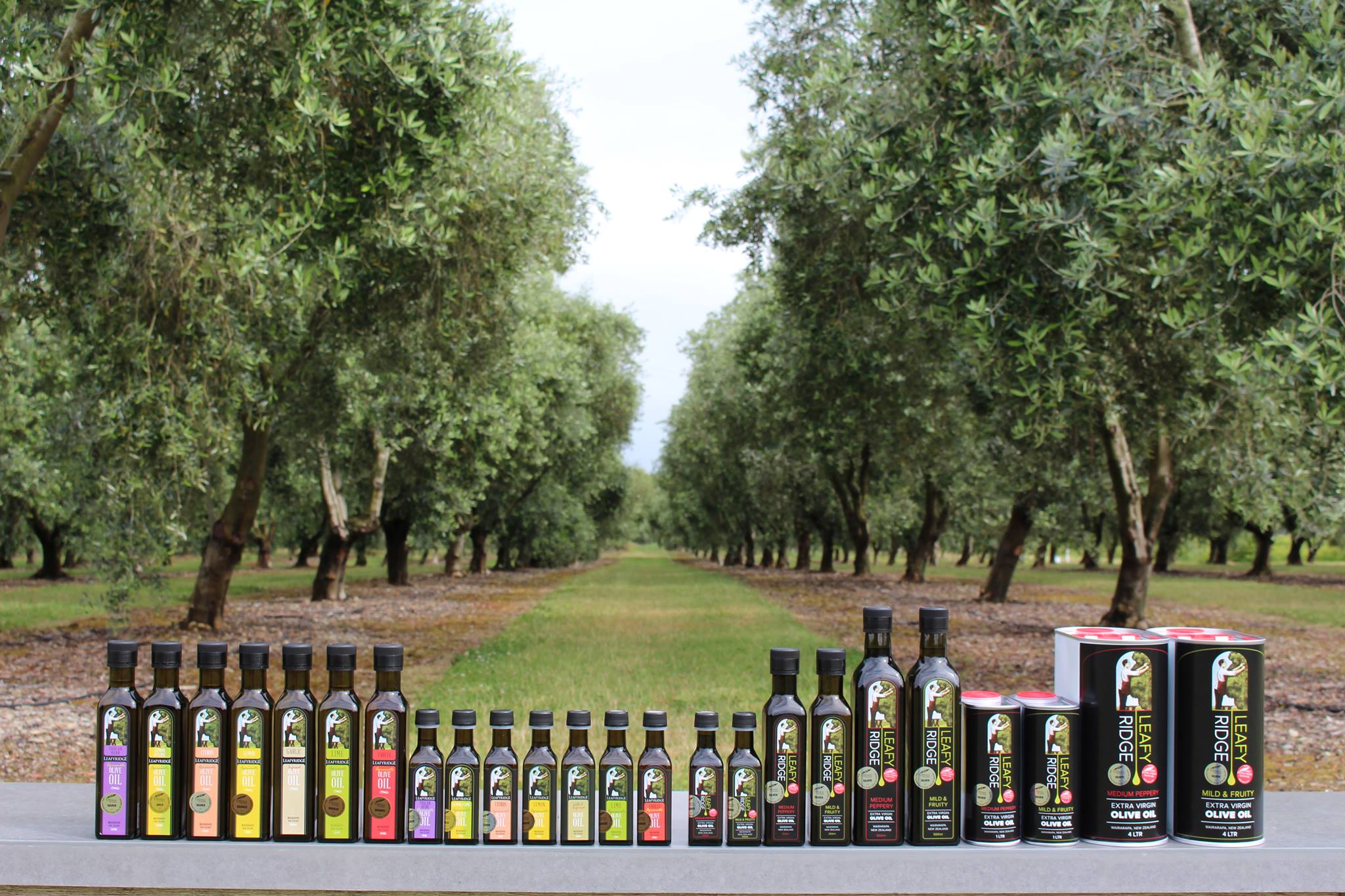 Many varieties of olive oil lined up in front of olive grove 