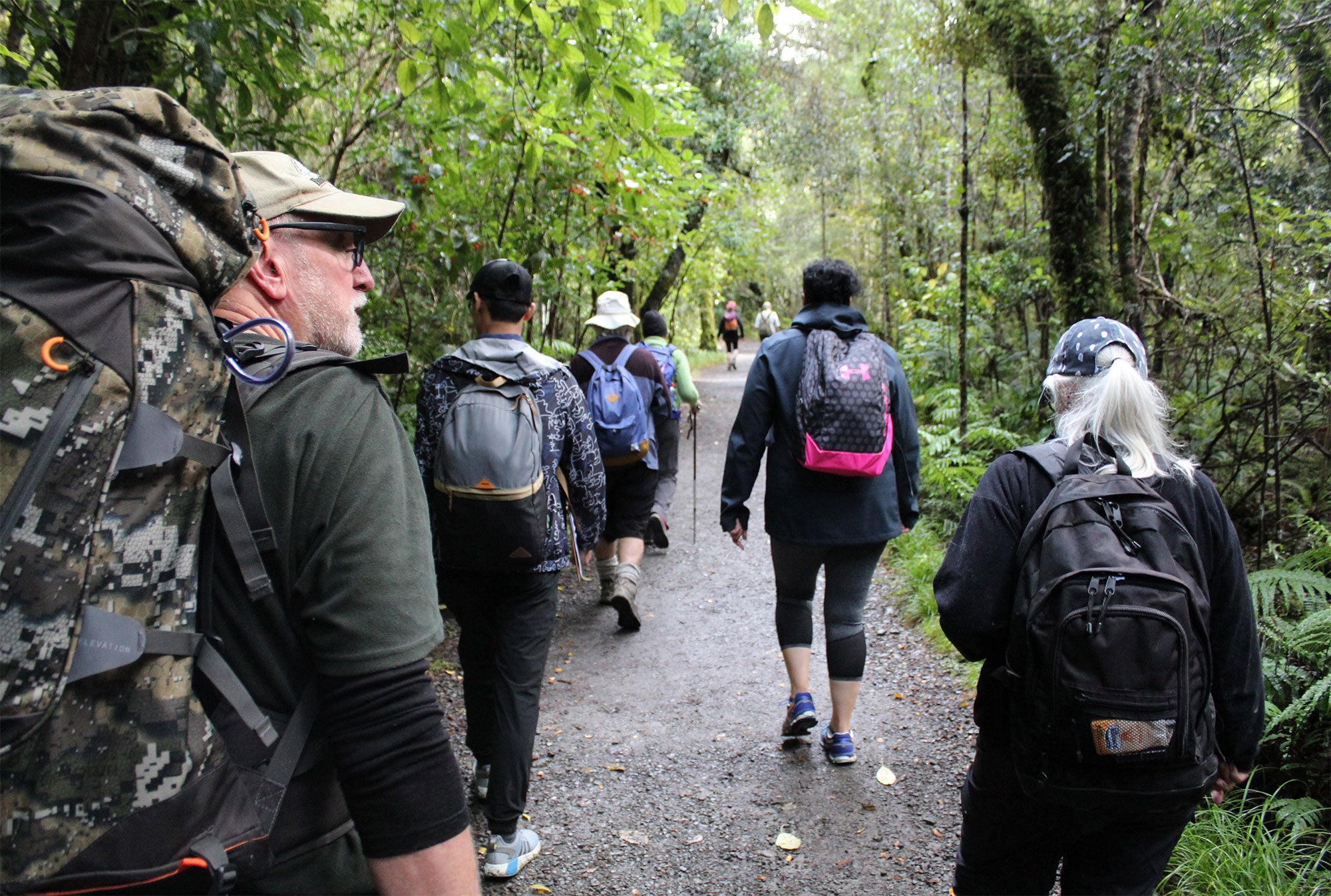 Group of people walking through native bush 