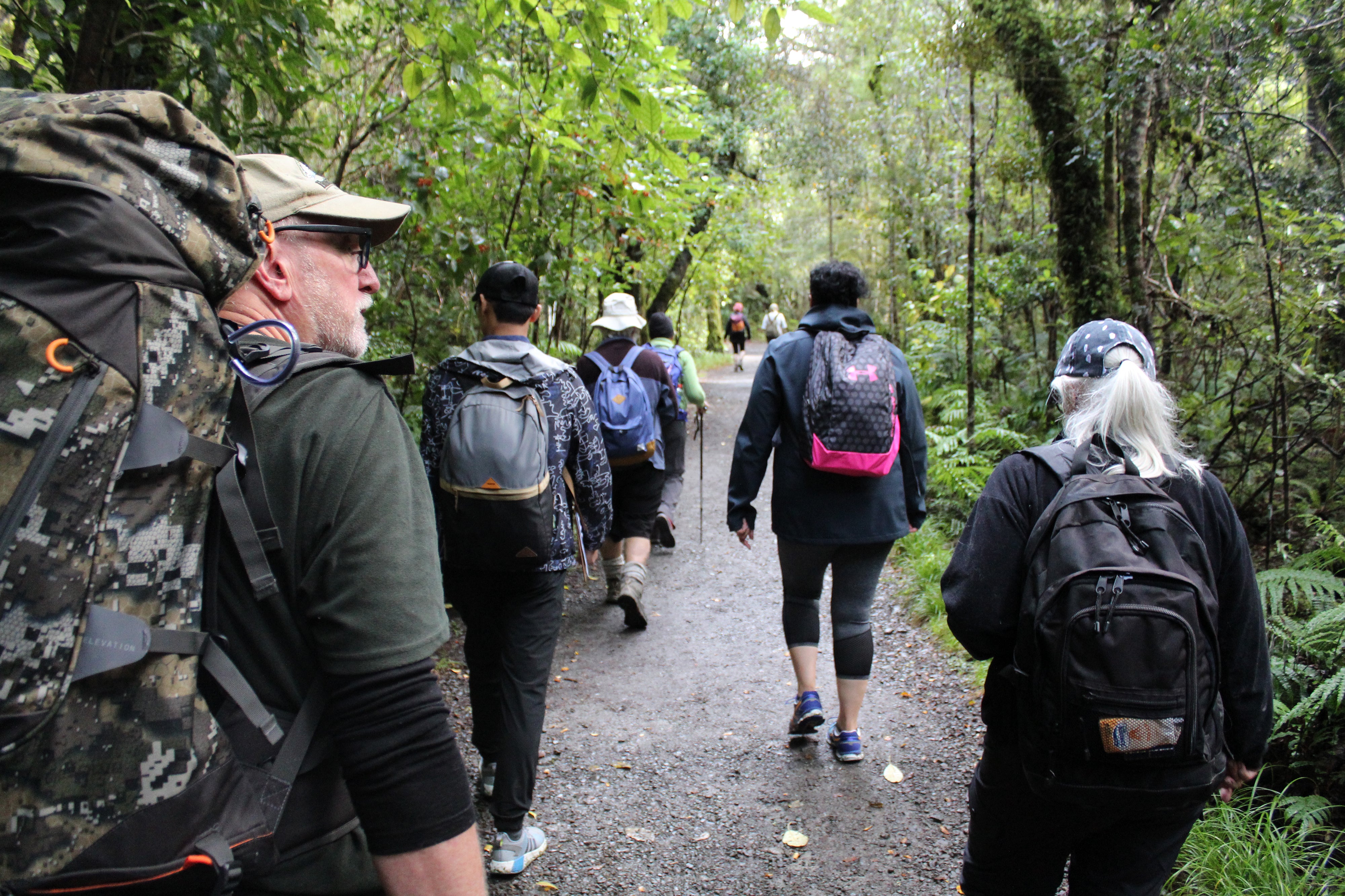 Group of people walking through native bush 