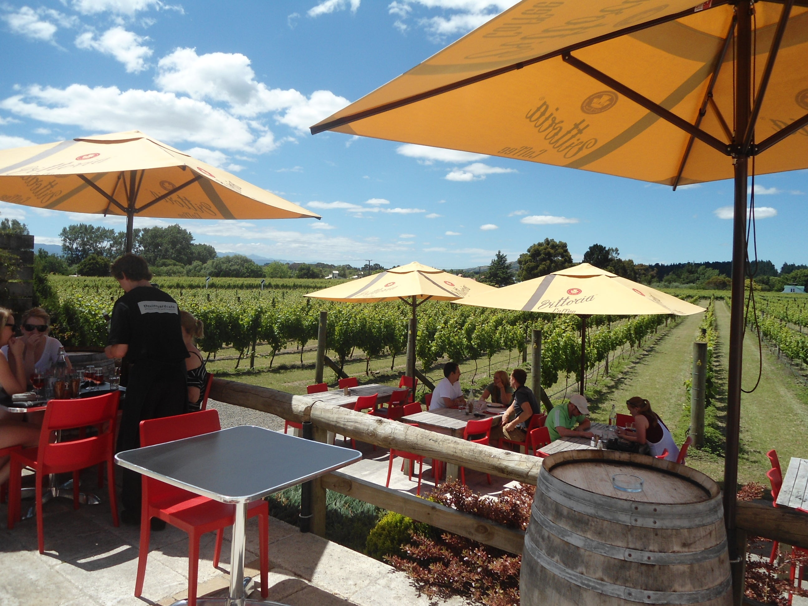 People sitting at tables in the vineyard 