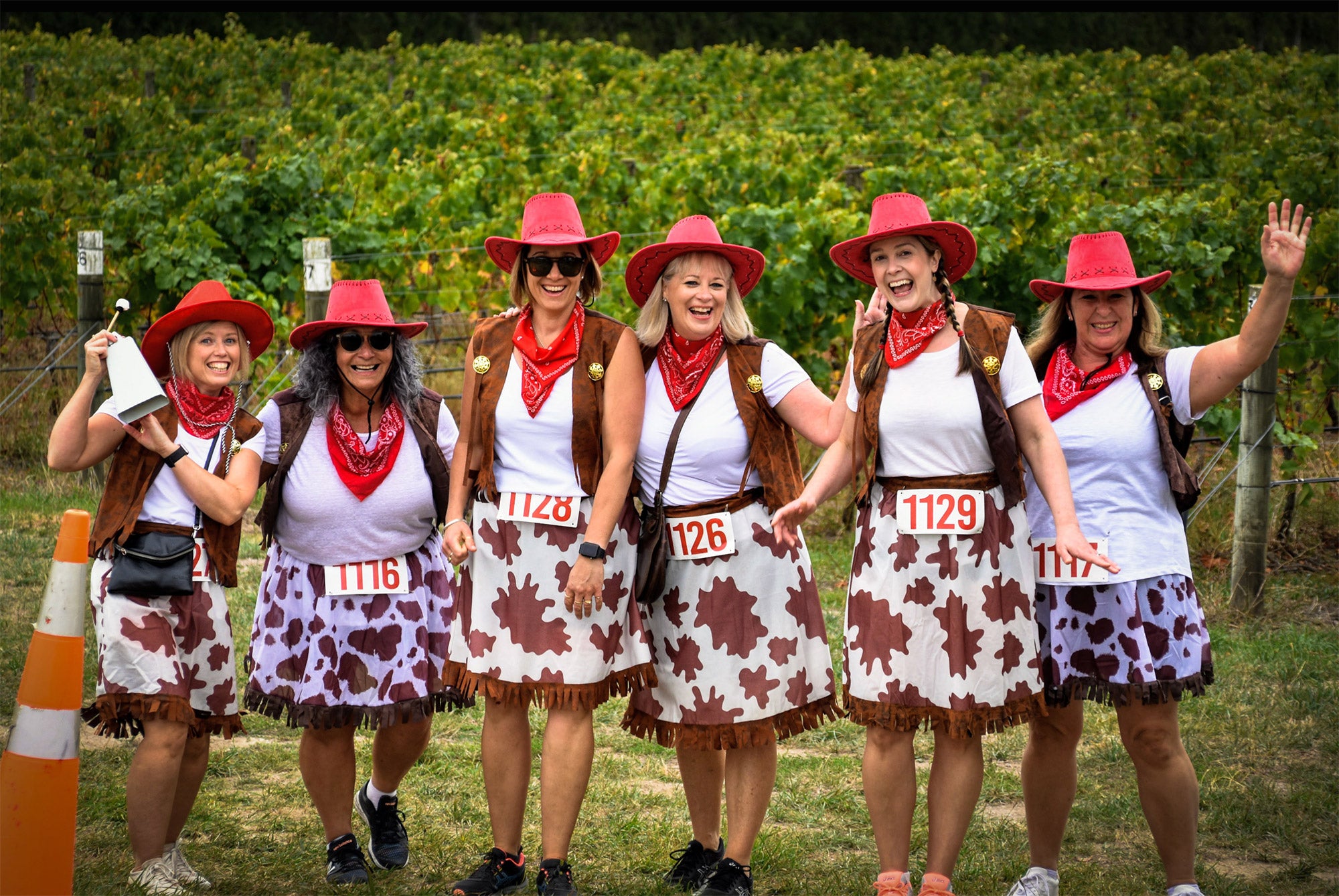 Martinborough Round the Vines