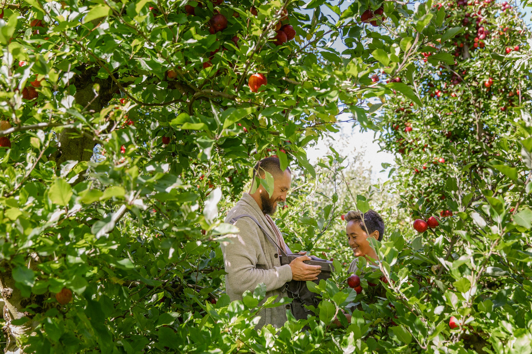 Greytown Apple Harvest Festival