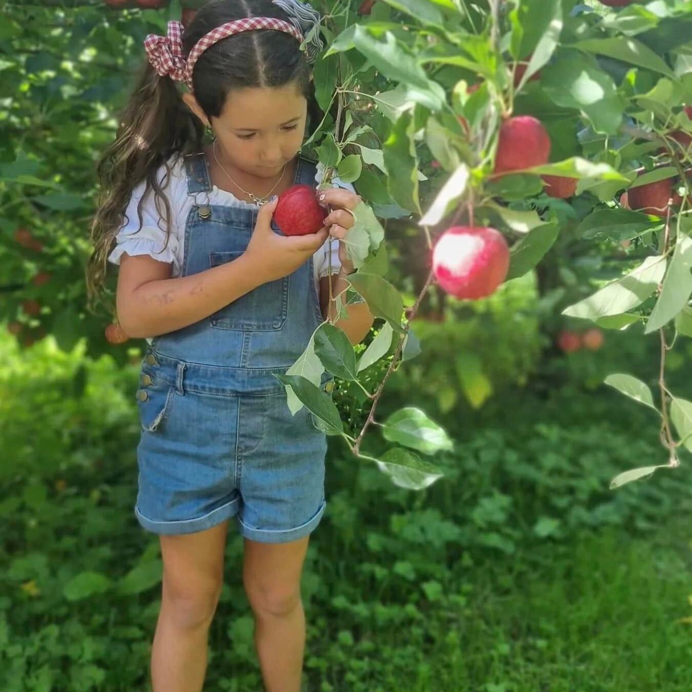 Girl picking apple 