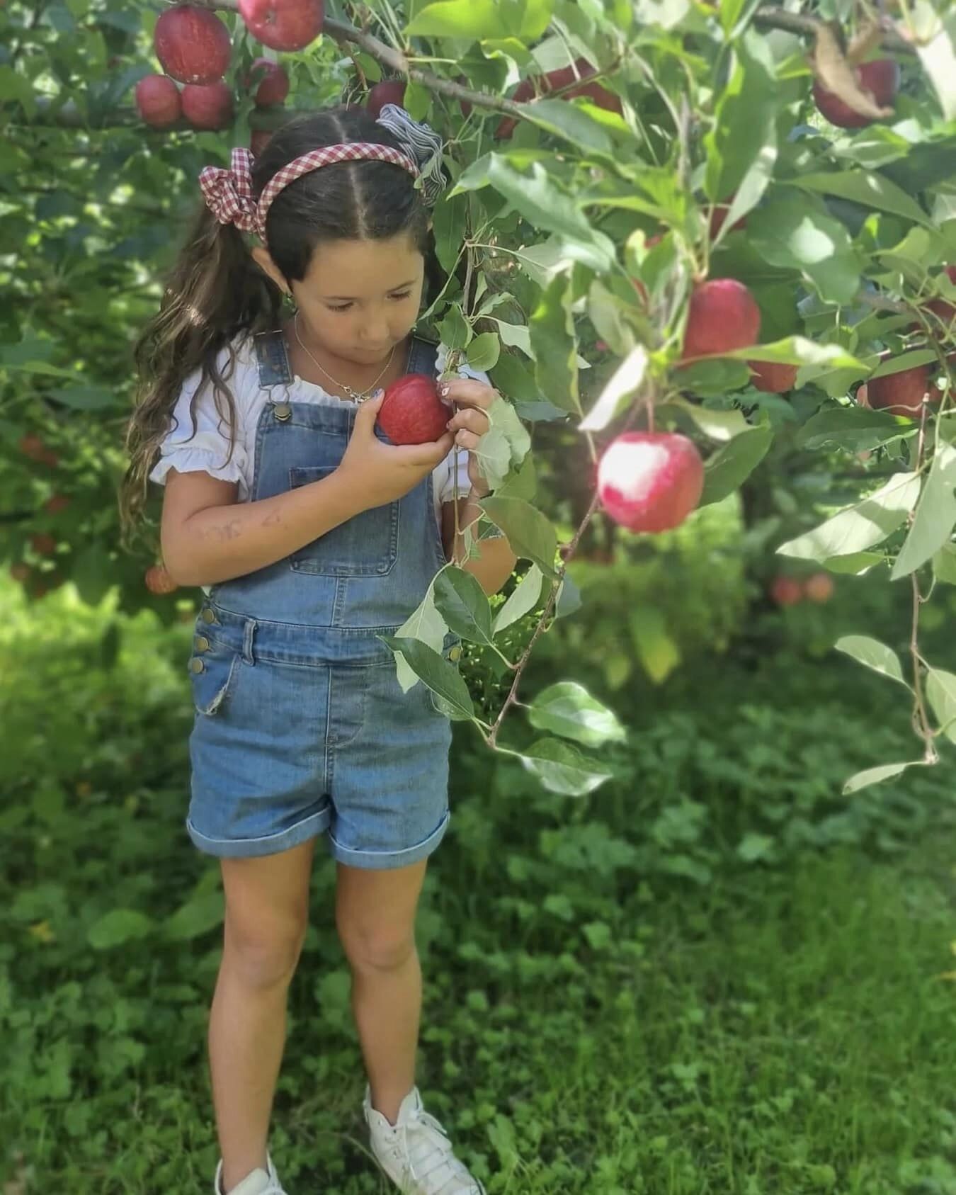 Girl picking apple 