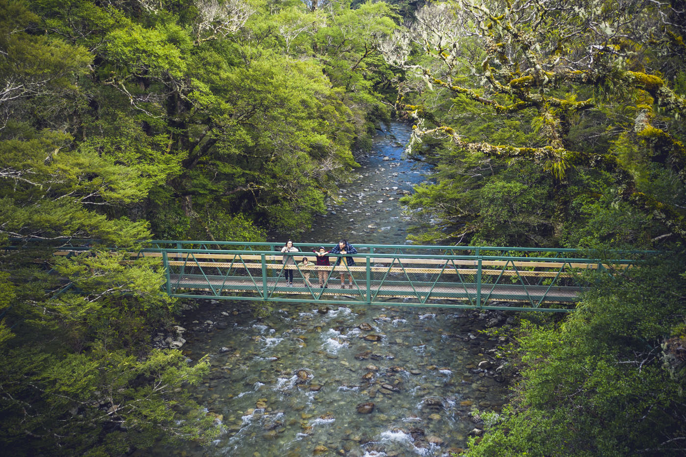 Family on bridge looking over river