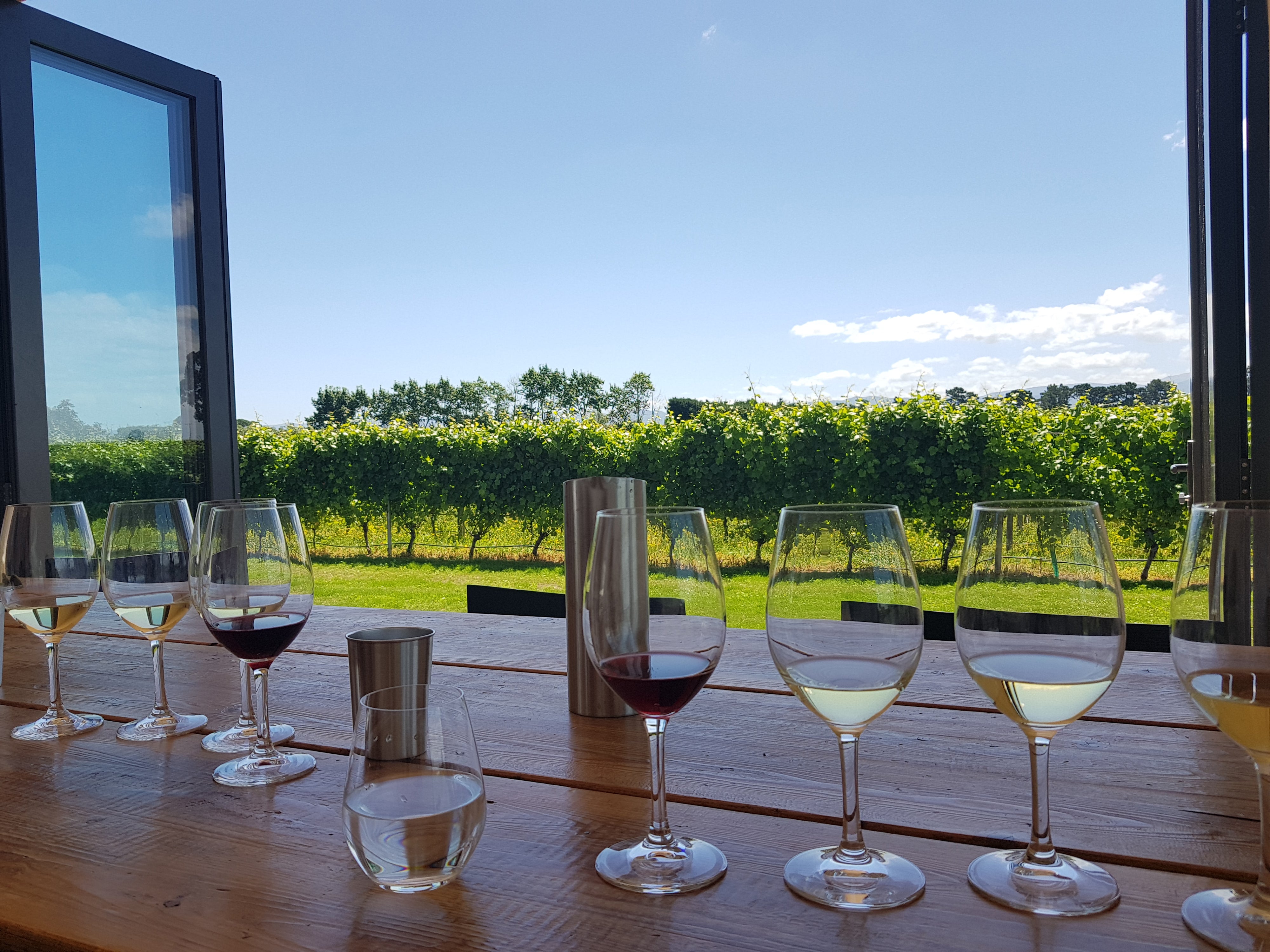 Glasses of wine on window looking over grape vines 