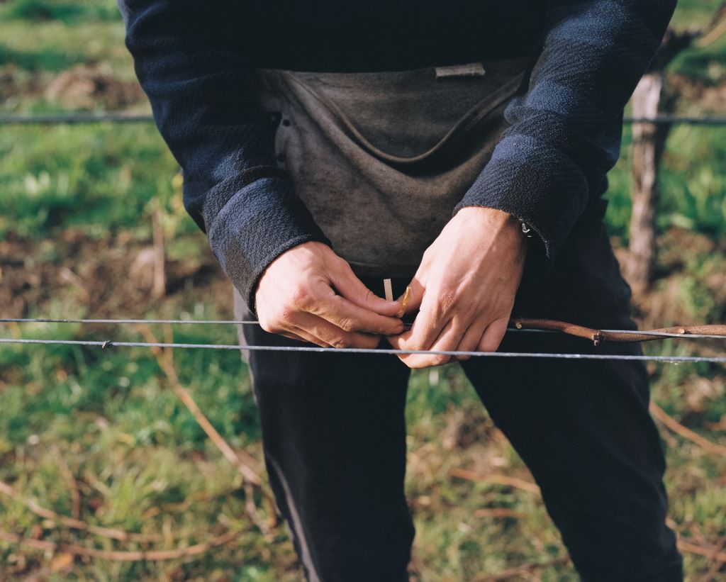 Close up of man tying vines