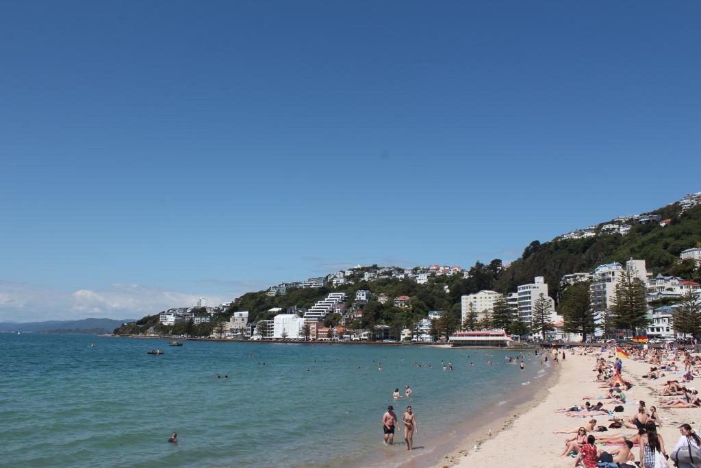 The picturesque Oriental Bay.