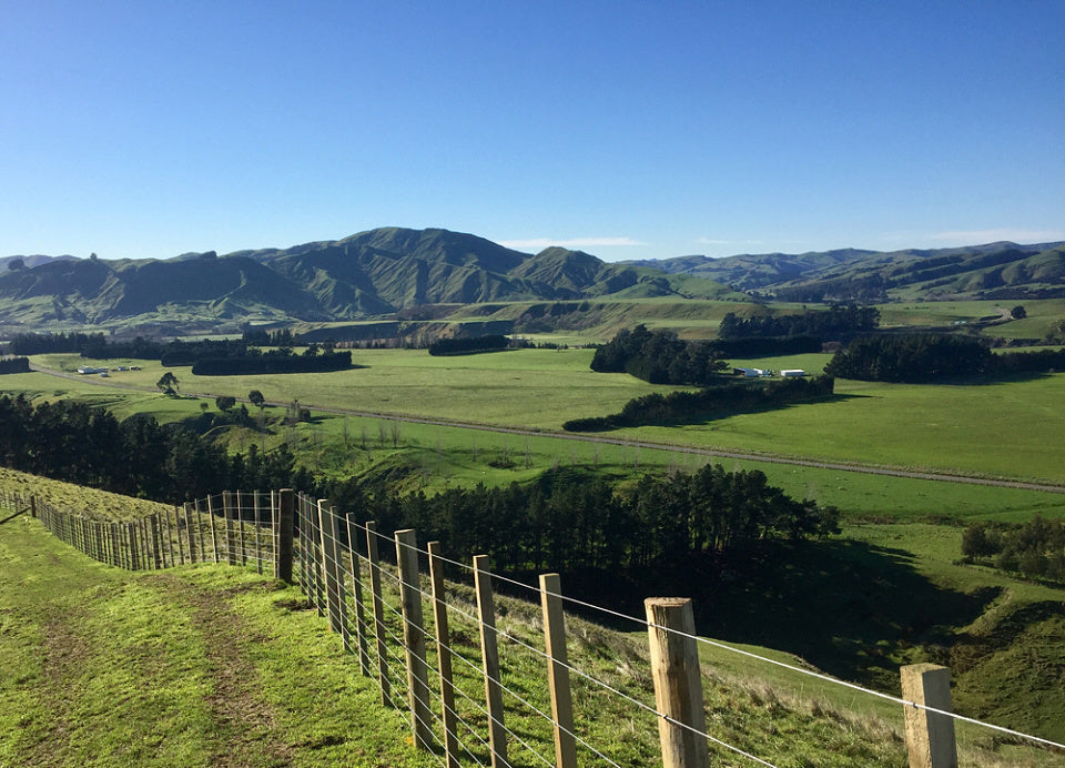 View of hills from walking trail credit Julian Buchanan 