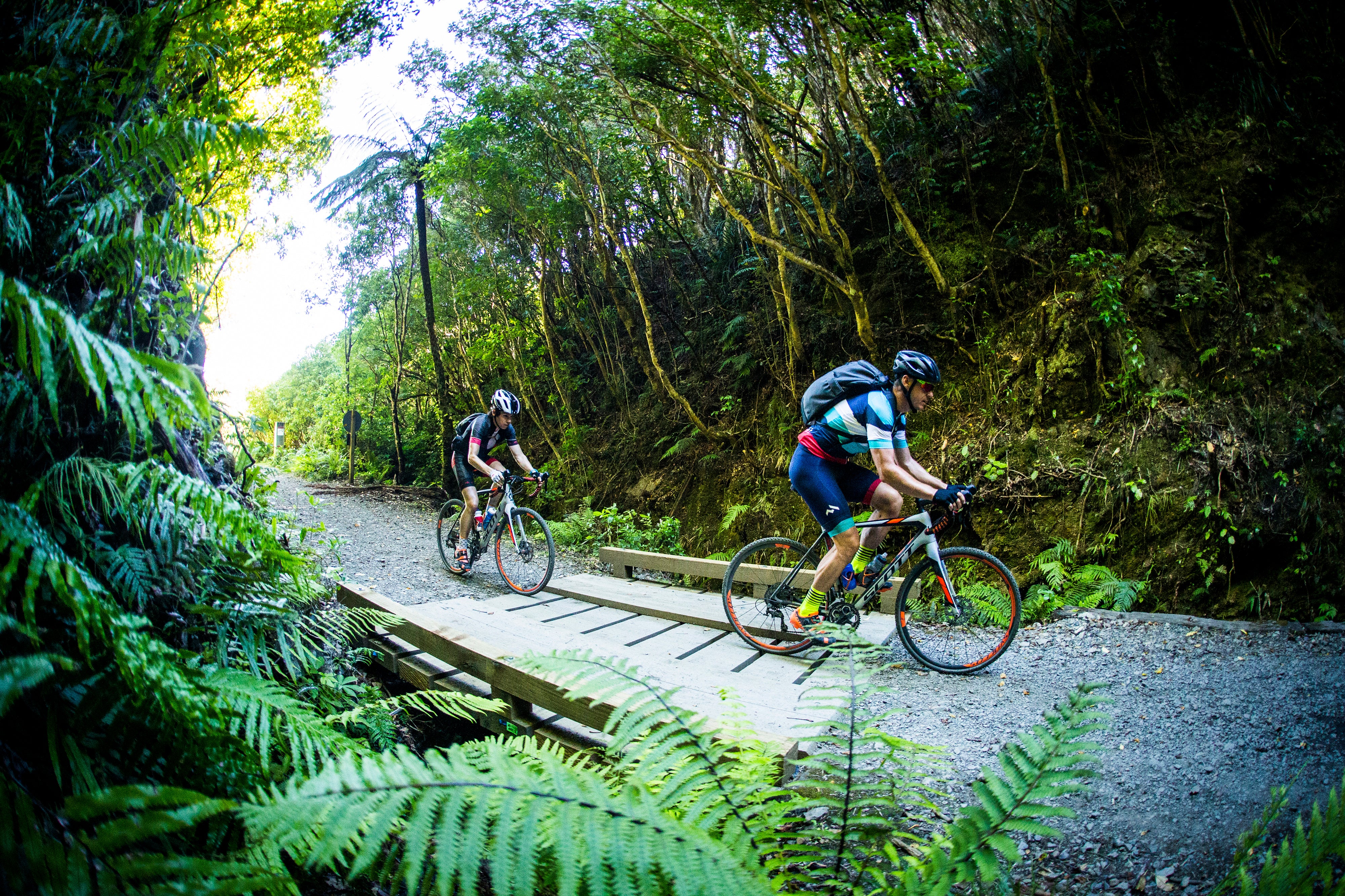 Cyclists crossing a bridge 