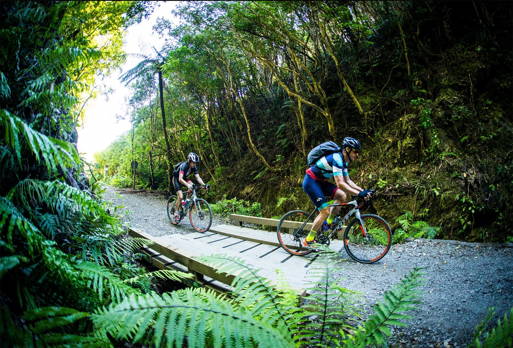 Remutaka Cycle Trail