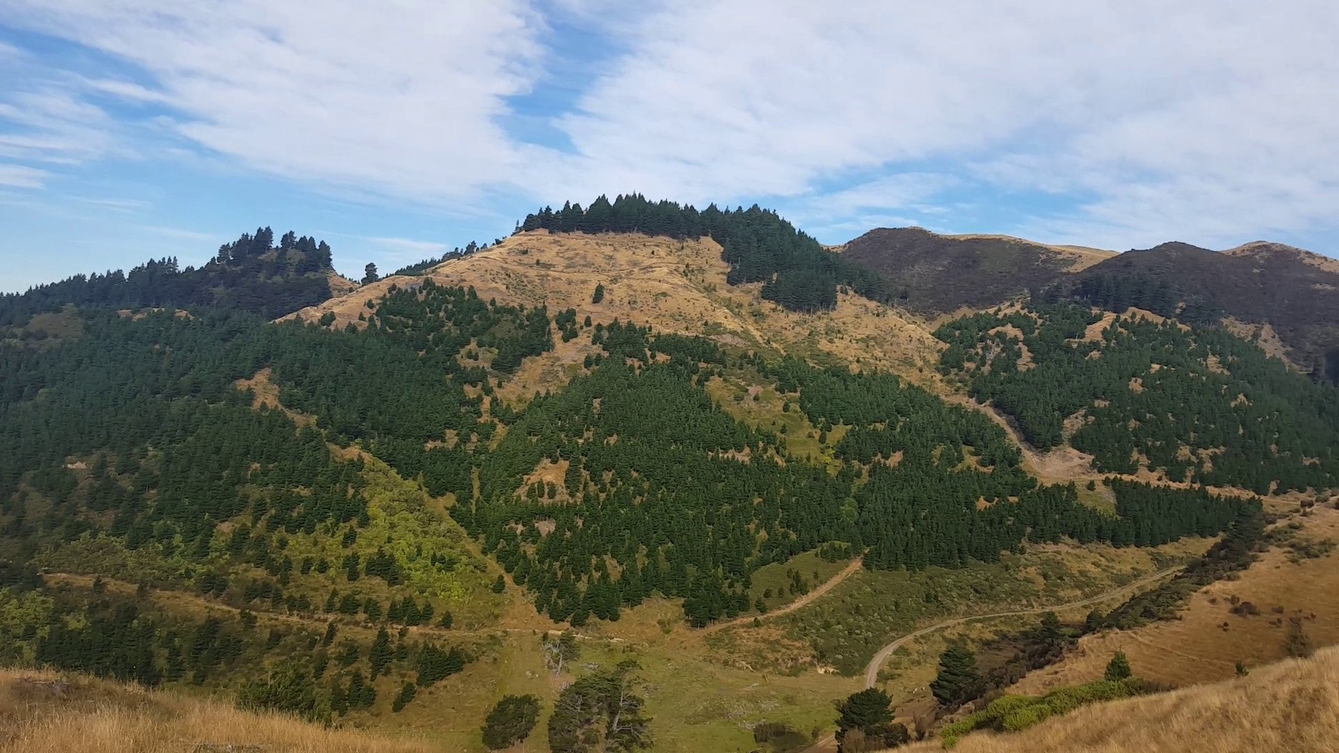 Mountain bike tracks visible on hillside 