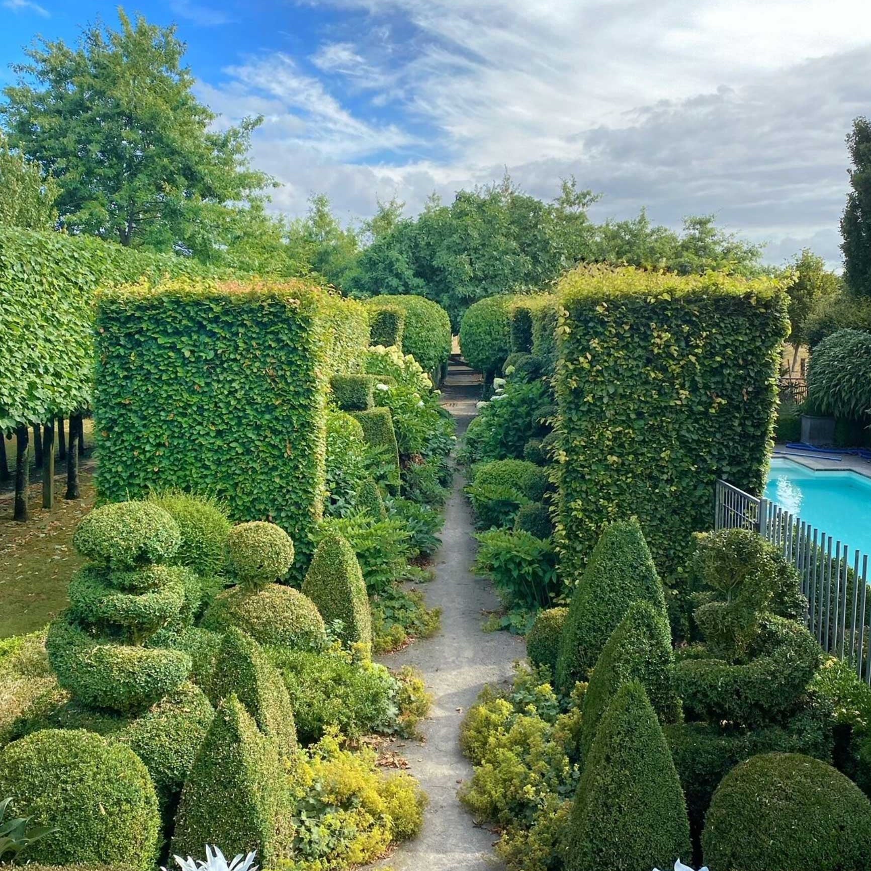 Garden path lined with topiary