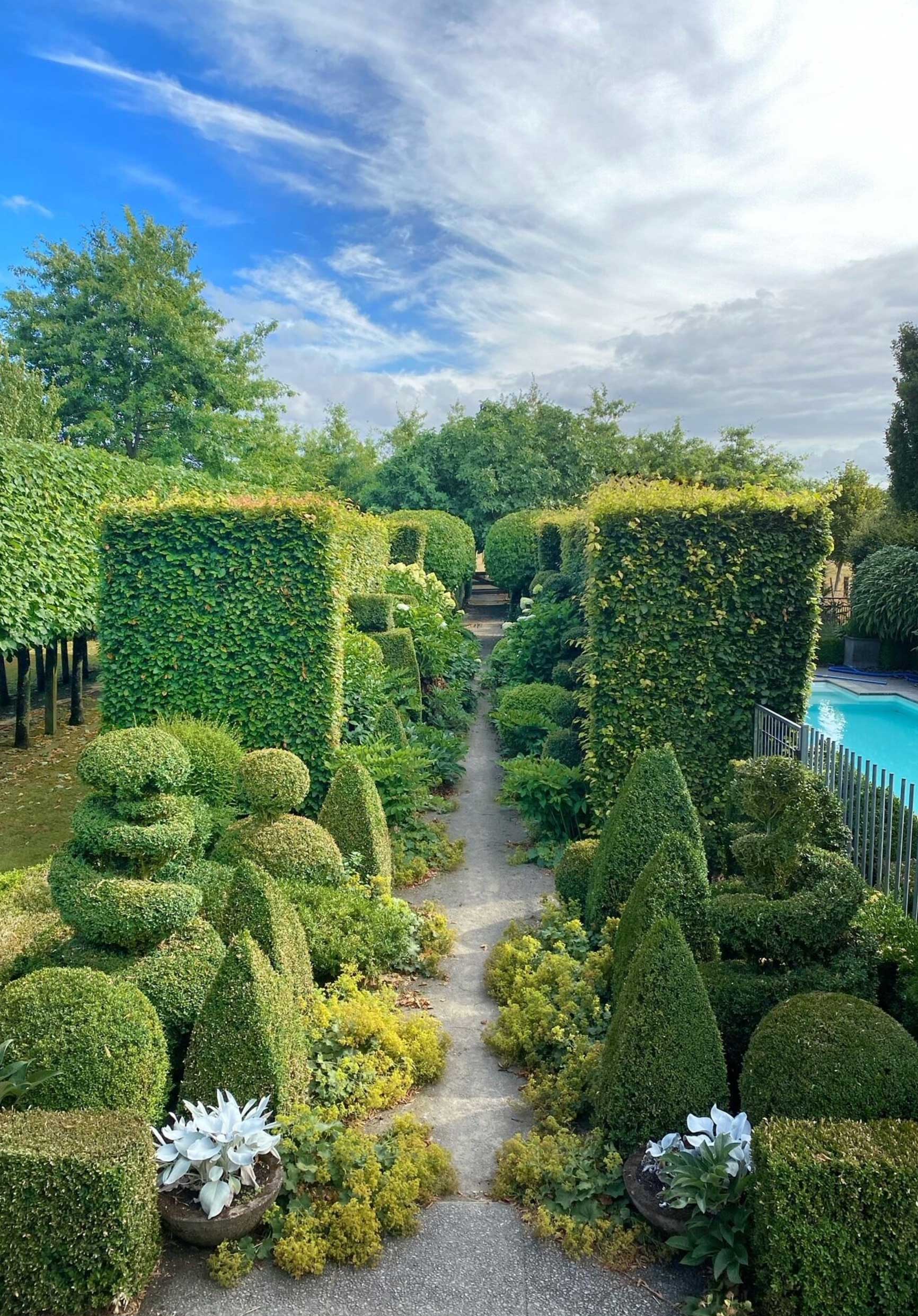 Garden path lined with topiary