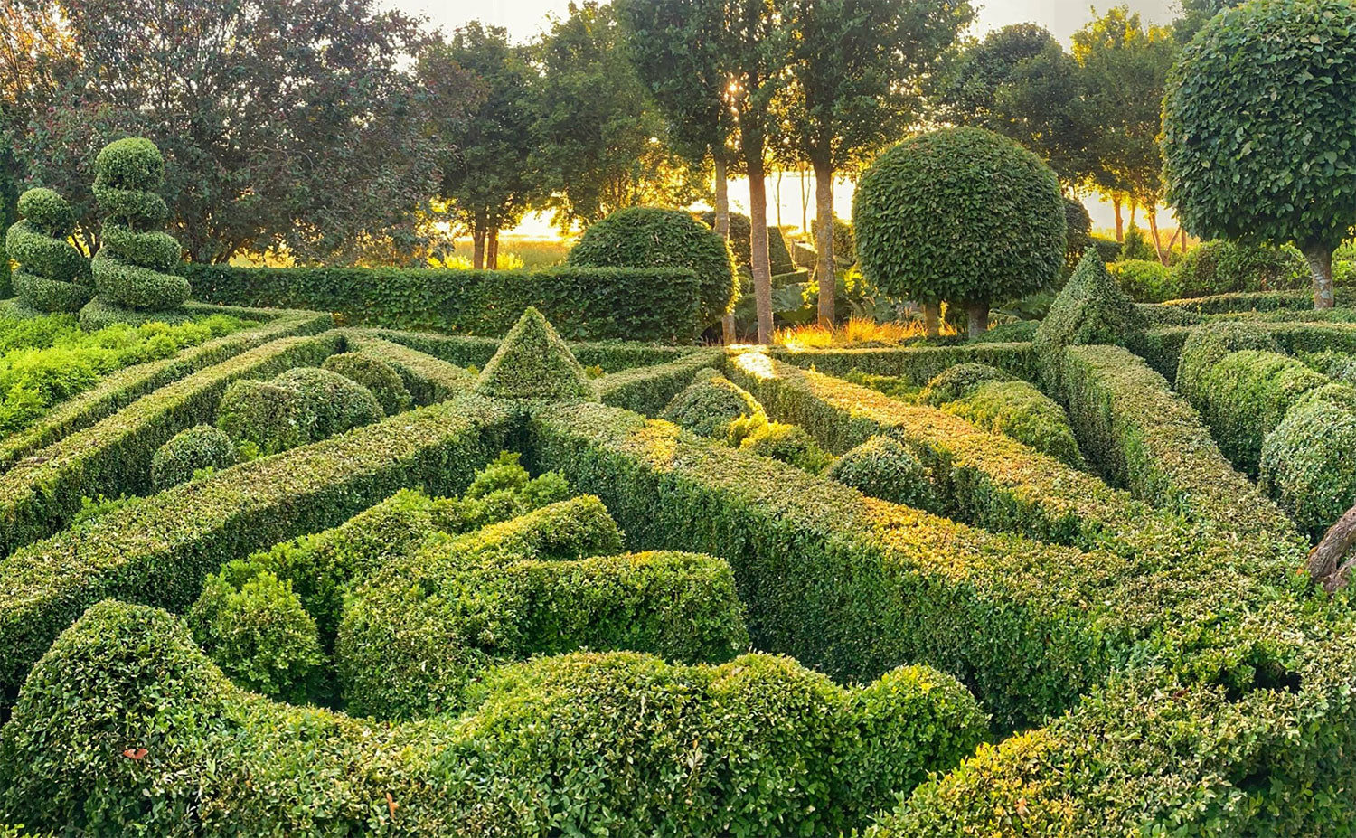 Garden design of box hedges